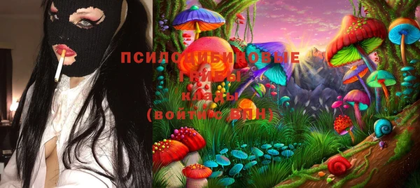 прущие крисы Нефтекумск
