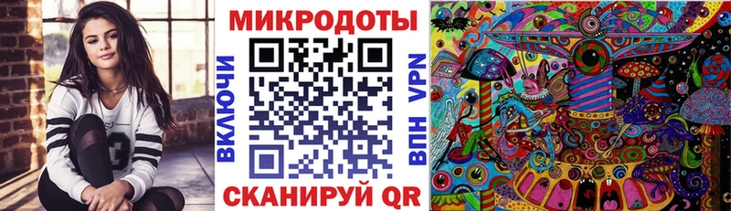 где купить наркотик  Торжок  Галлюциногенные грибы Psilocybine cubensis 